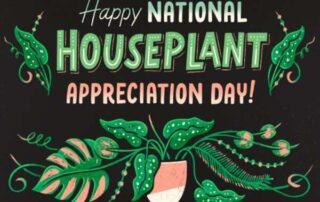 January-10th-National-Houseplant-Appreciation-Day-Orlando_REMAX | Luxury Orlando Homes for Sale | Daniel Wilson REMAX Orlando Real Estate Expert