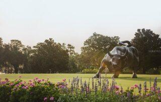 Portrait, Wedding & Fashion Photographer | Luxury Orlando Homes for Sale | Daniel Wilson REMAX Orlando Real Estate Expert