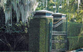 GetMedia-5.ashx | Luxury Orlando Homes for Sale | Daniel Wilson REMAX Orlando Real Estate Expert